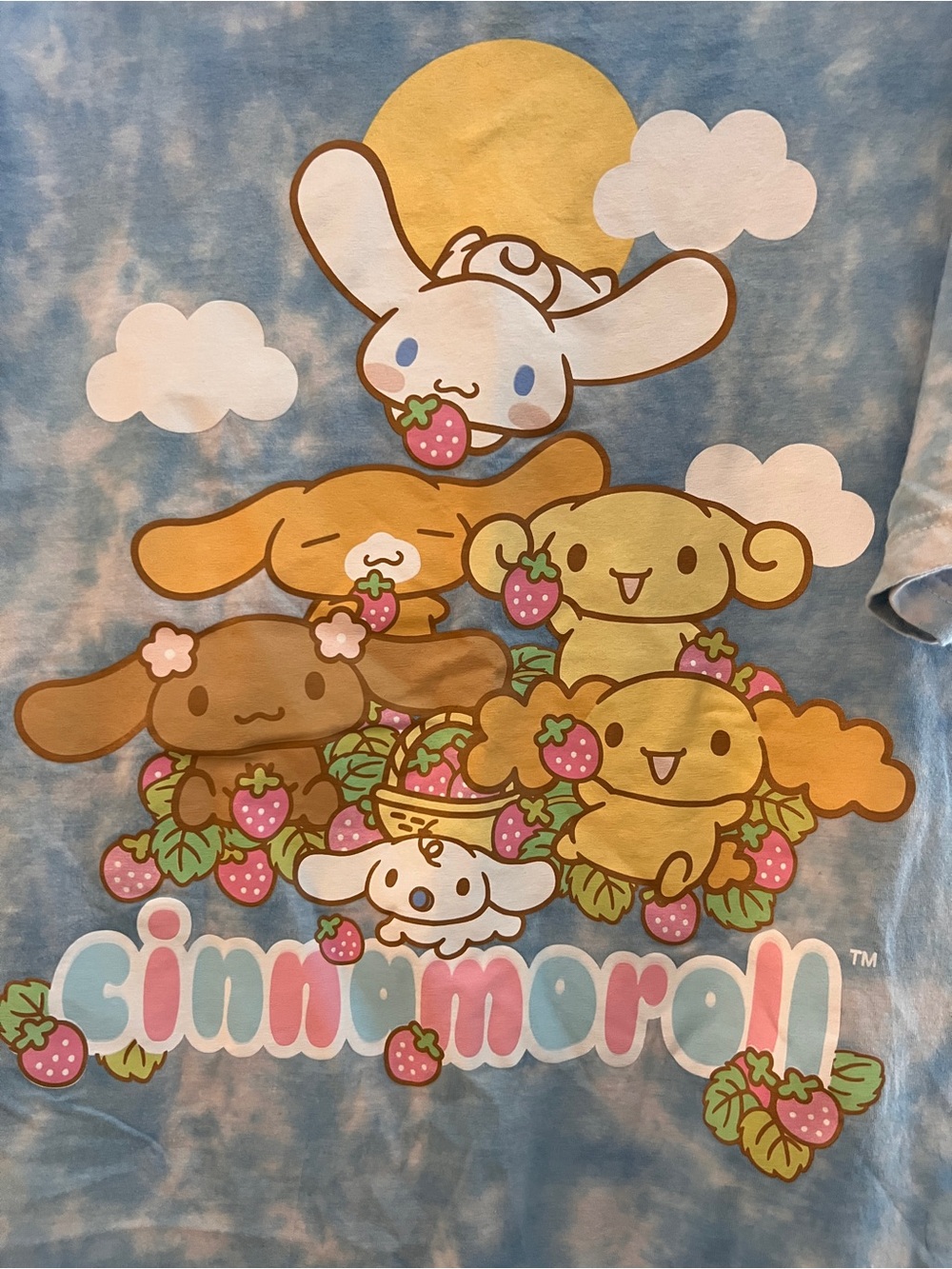 Sanrio “Cinnamoroll” T-Shirt